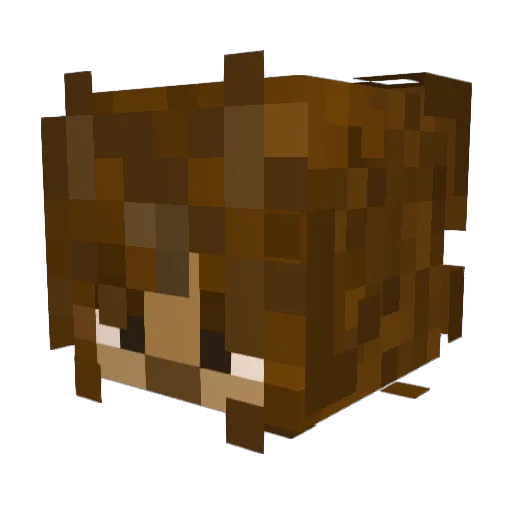 frenchtoaststic Minecraft avatar head, 3D render