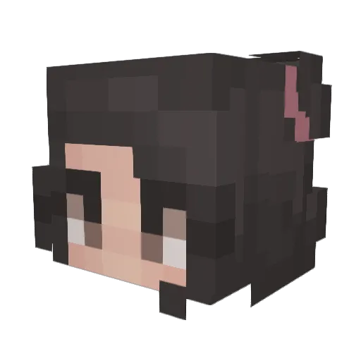 frenchynoodle Minecraft avatar head, 3D render