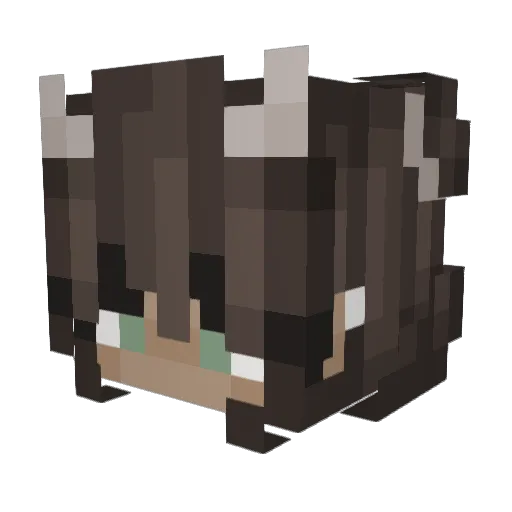 fresh_bawls Minecraft avatar head, 3D render