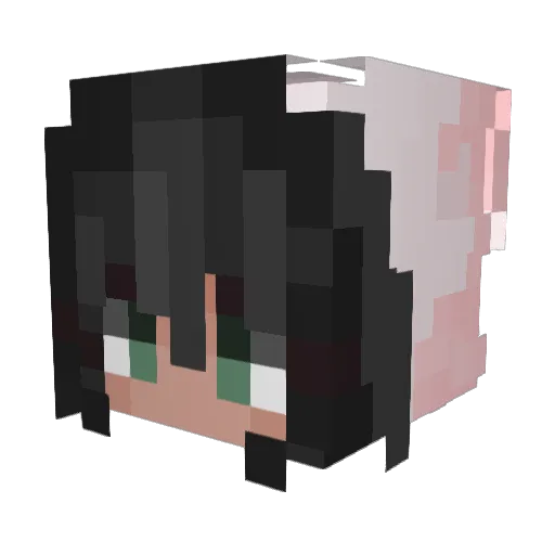 freshbeefff Minecraft avatar head, 3D render