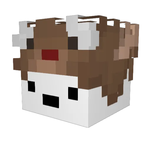 freshman0102 Minecraft avatar head, 3D render