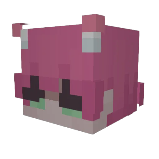 freshstart_quack Minecraft avatar head, 3D render