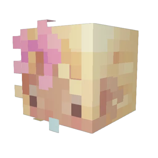 freshwatercat3 Minecraft avatar head, 3D render