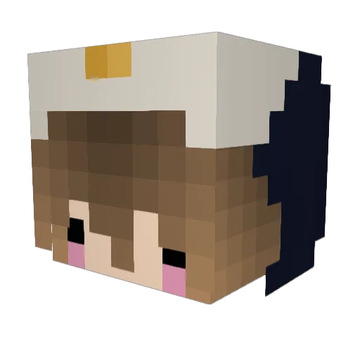 freshyos Minecraft avatar head, 3D render