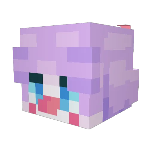 fresnocrawlin Minecraft avatar head, 3D render