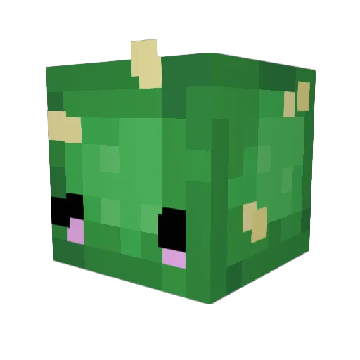 freyam17 Minecraft avatar head, 3D render