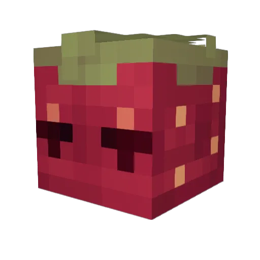 frezouille_ Minecraft avatar head, 3D render