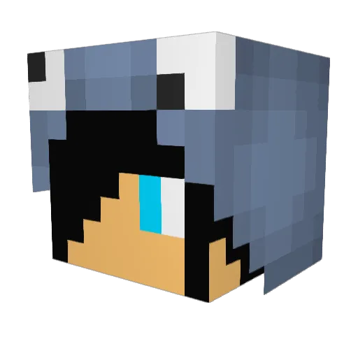 frezzemaker Minecraft avatar head, 3D render