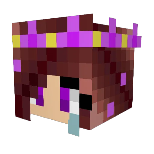 fricknoodles Minecraft avatar head, 3D render