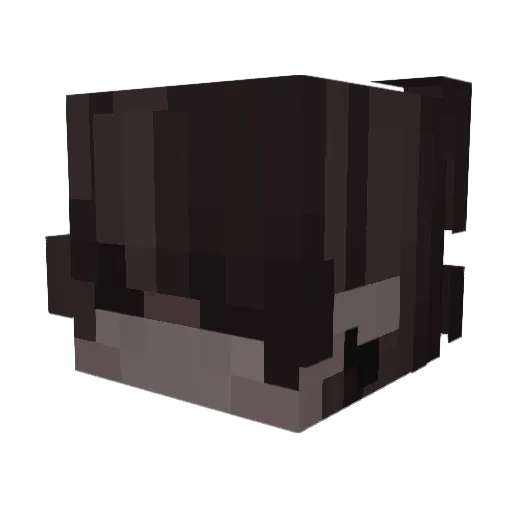 fridaisswagasf Minecraft avatar head, 3D render