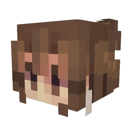 fridge_freezer1 Minecraft avatar head, 3D render
