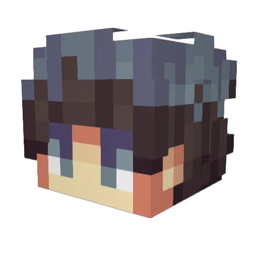 fridorin Minecraft avatar head, 3D render