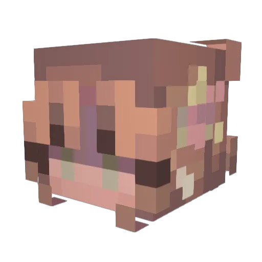 fridoxen Minecraft avatar head, 3D render