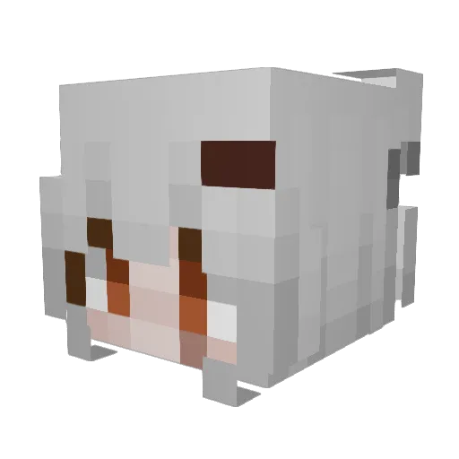 fried_duck00 Minecraft avatar head, 3D render