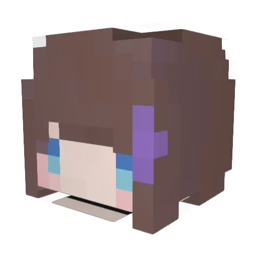 fried_shrimp2593 Minecraft avatar head, 3D render