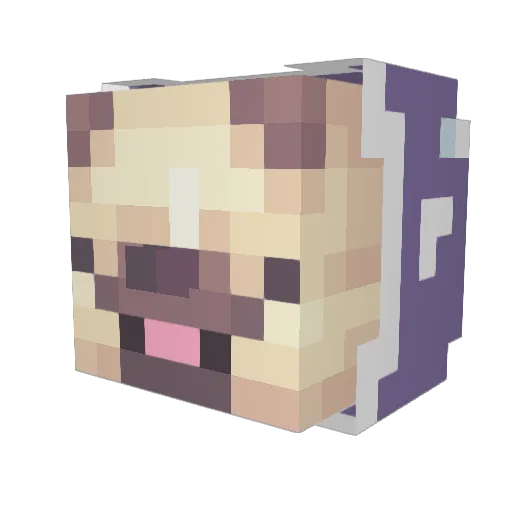 friedcantaloupe Minecraft avatar head, 3D render