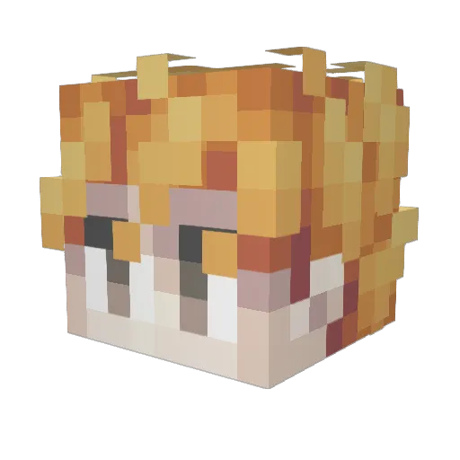 frieddcalamari Minecraft avatar head, 3D render