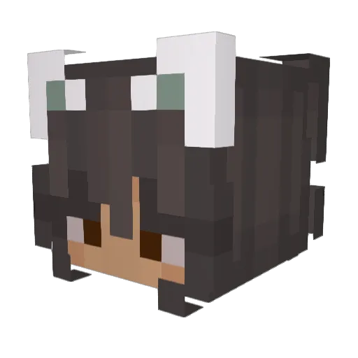 friedkale_ Minecraft avatar head, 3D render