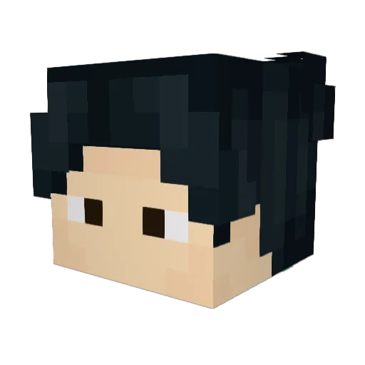 friedkarp_ Minecraft avatar head, 3D render