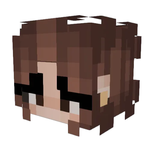 friedpicklez69 Minecraft avatar head, 3D render
