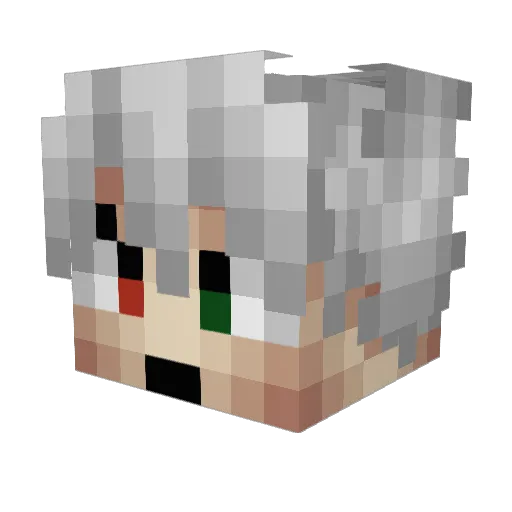 friedpwnadge Minecraft avatar head, 3D render