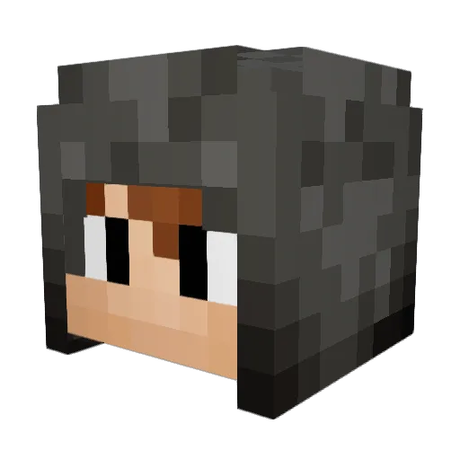 friendlybee Minecraft avatar head, 3D render