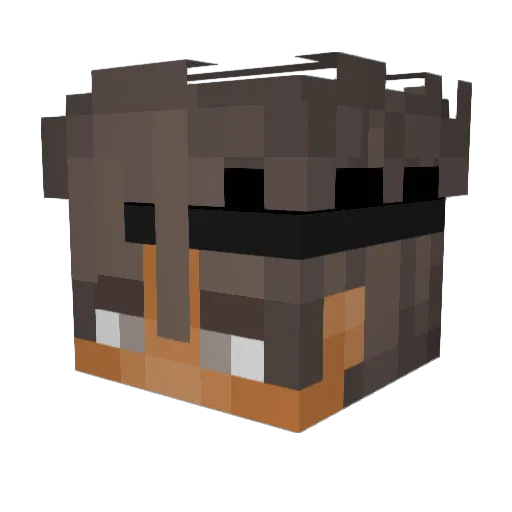 friendlydavid Minecraft avatar head, 3D render