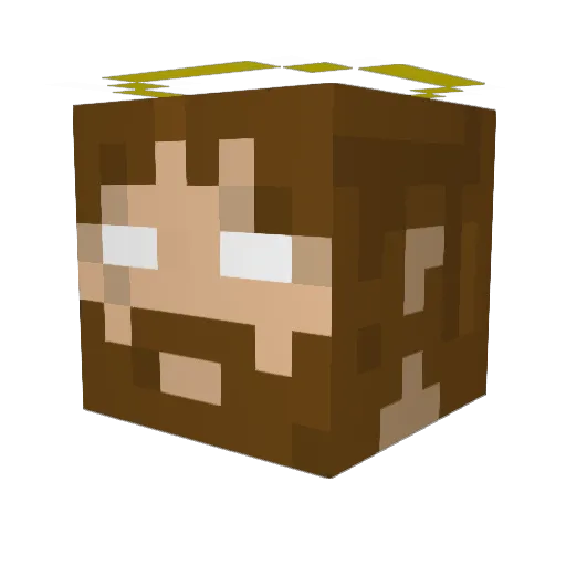 friendlyguy631 Minecraft avatar head, 3D render
