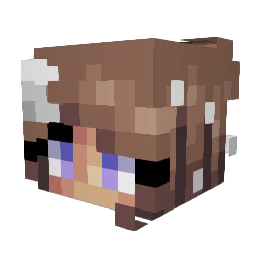 friendorfoley Minecraft avatar head, 3D render