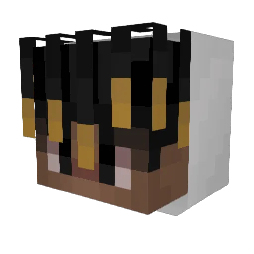 frigpeen Minecraft avatar head, 3D render