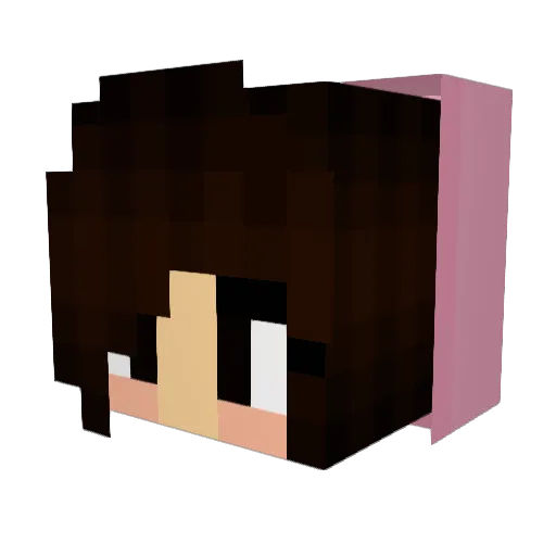 frijole239 Minecraft avatar head, 3D render