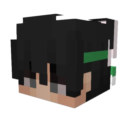 frijool Minecraft avatar head, 3D render