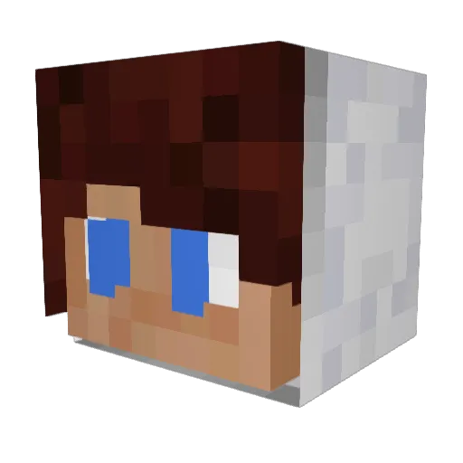 frikandollo1 Minecraft avatar head, 3D render