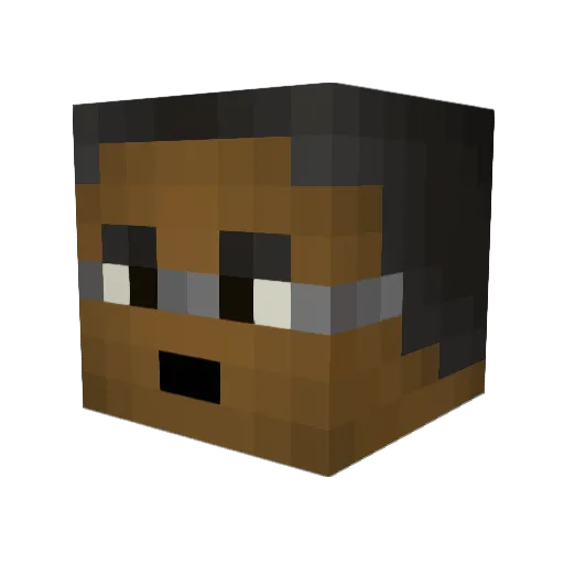 fringMC Minecraft avatar head, 3D render