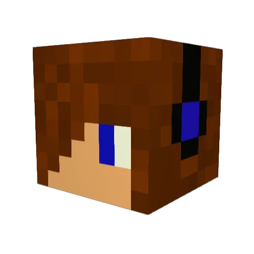 fringerPL Minecraft avatar head, 3D render