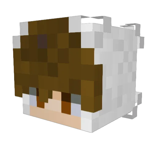 friskyyyyyyyy Minecraft avatar head, 3D render