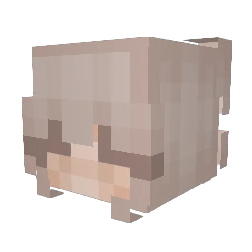 fristy19 Minecraft avatar head, 3D render