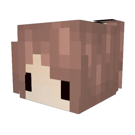 fritsendal Minecraft avatar head, 3D render