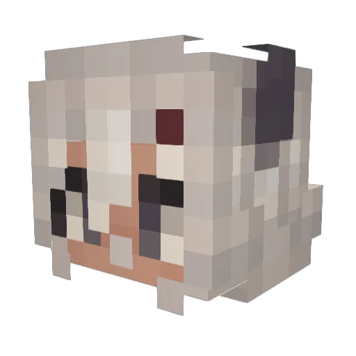 frix_my_life Minecraft avatar head, 3D render