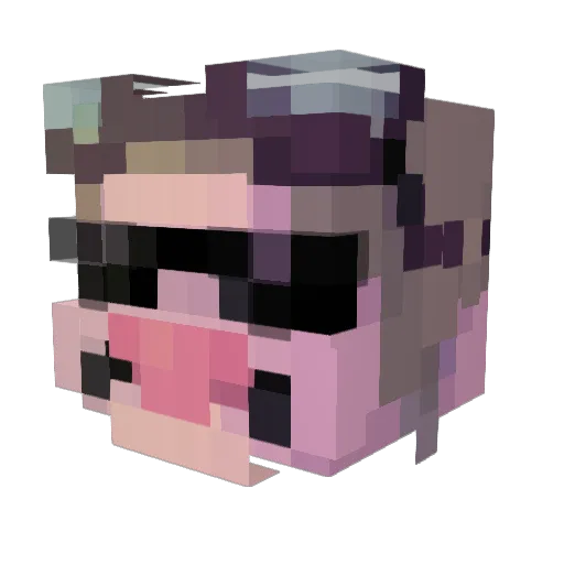 frixion33 Minecraft avatar head, 3D render