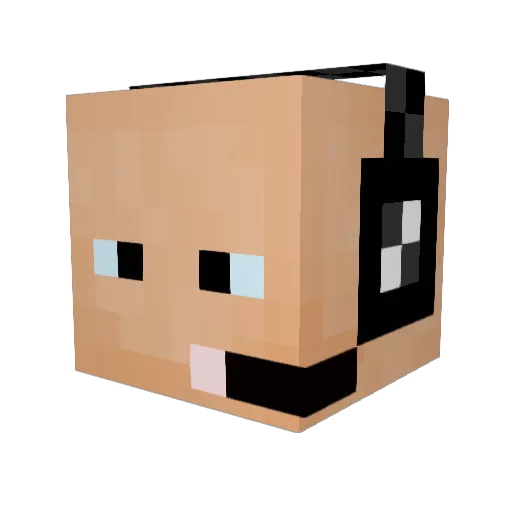 frnos Minecraft avatar head, 3D render