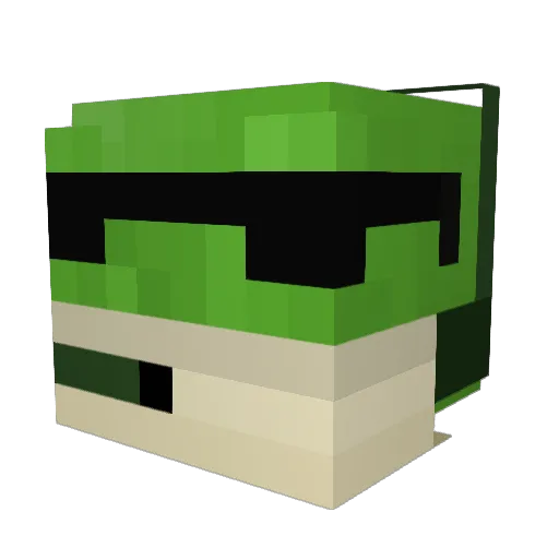 froNg0426 Minecraft avatar head, 3D render