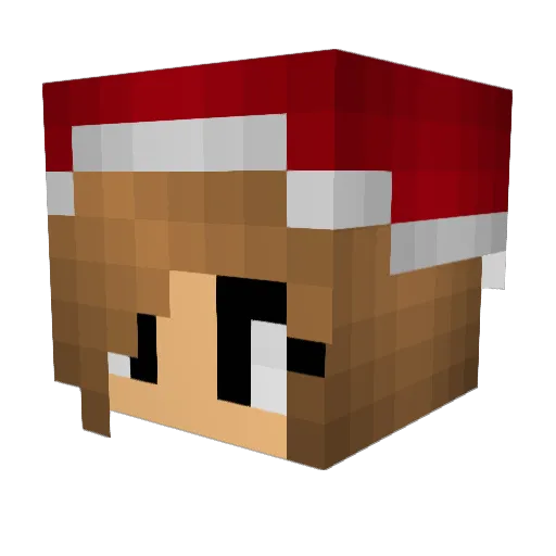 frocky5 Minecraft avatar head, 3D render