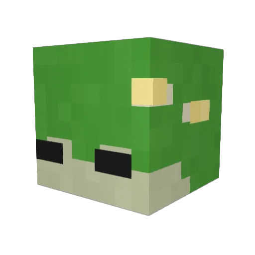 froct Minecraft avatar head, 3D render