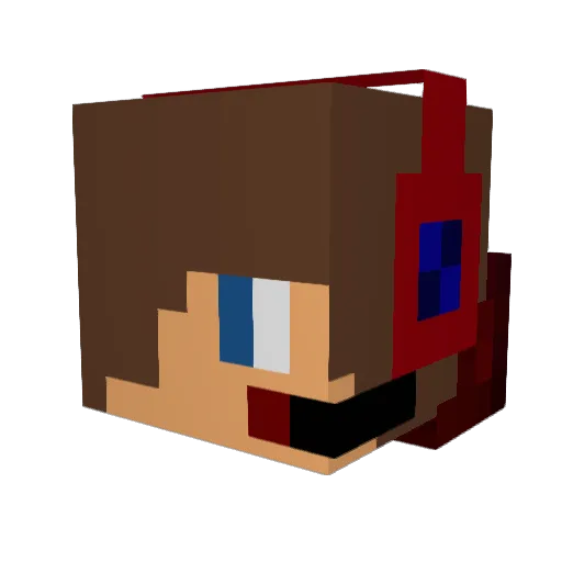 frodo2410 Minecraft avatar head, 3D render