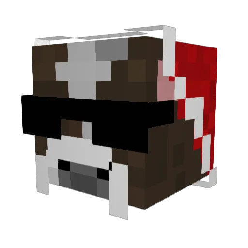 frodo282 Minecraft avatar head, 3D render