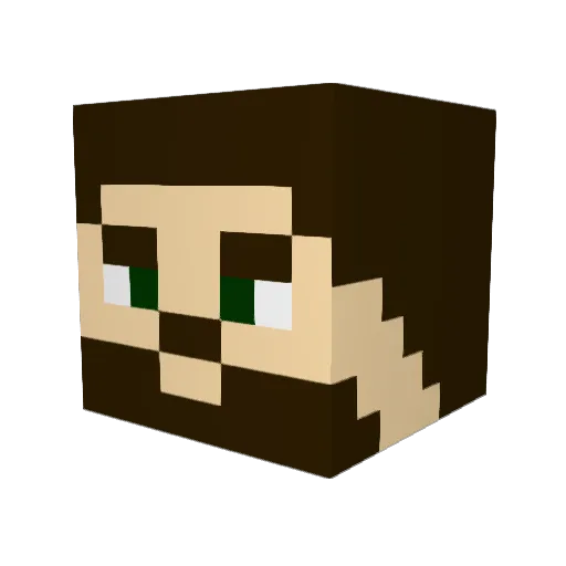 frodo_chill Minecraft avatar head, 3D render