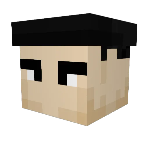 frodopatty Minecraft avatar head, 3D render
