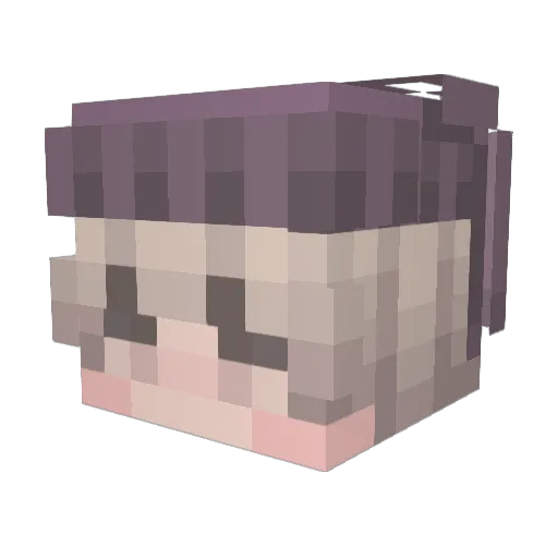 froedifrgbefan Minecraft avatar head, 3D render
