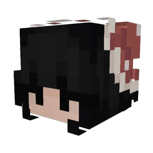 frog5555 Minecraft avatar head, 3D render